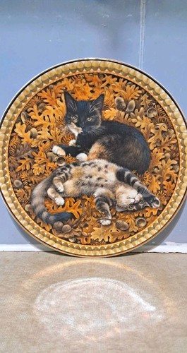 Aynsley meet kittens - meet, my