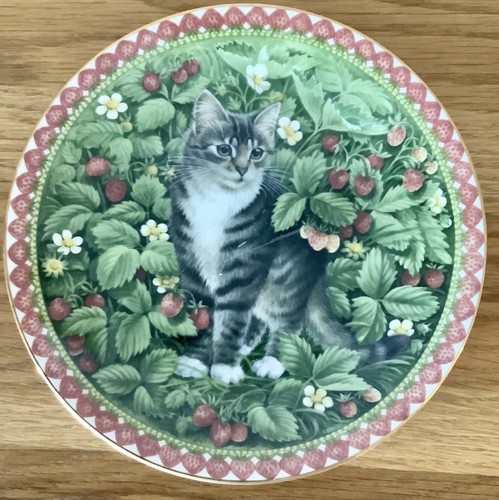 Aynsley meet kittens bone - my,