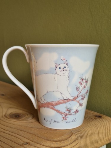 Aynsley cats pet - aynsley,