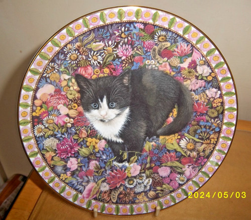 Aynsley bone china - aynsley,