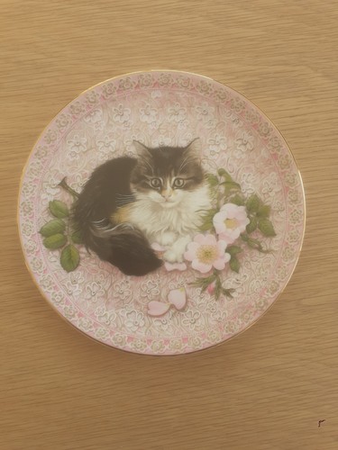 Meet kittens bone china - 'meet, my