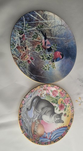 Aynsley coalport china plates - aynsley/coalport,