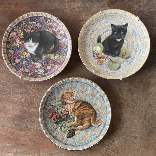 Lesley anne ivory - ivory, cat