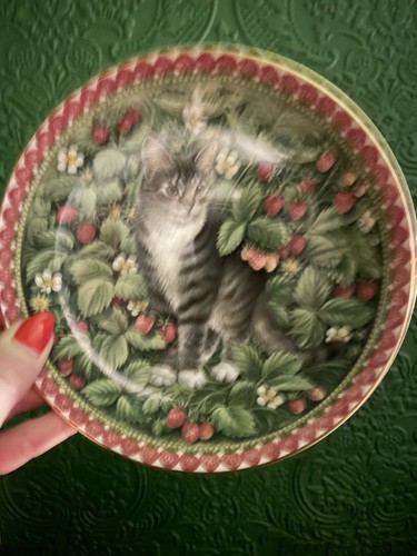 Aynsley meet kittens - "meet, my