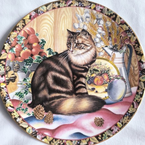 Aynsley cats for - for, all