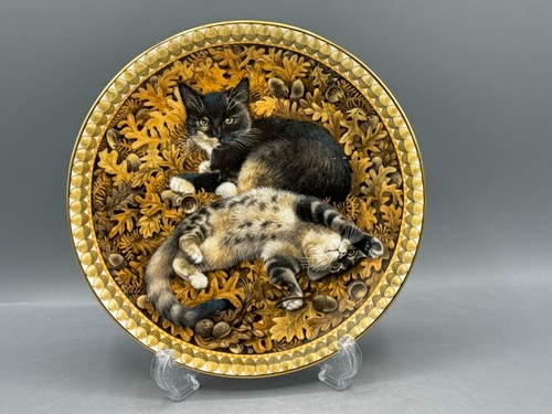 Aynsley meet kittens - aynsley, my